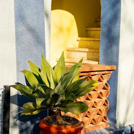Avec Piscine Et Jacuzzi à 50mètres De La Et 5min De L'allée Des Pins * Argelès-sur-Mer